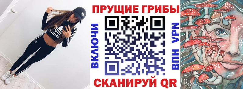 Псилоцибиновые грибы мицелий  Дивногорск 