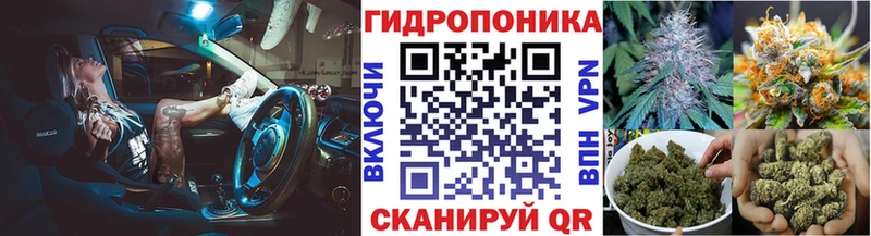 Шишки марихуана конопля  где купить наркоту  Дивногорск 